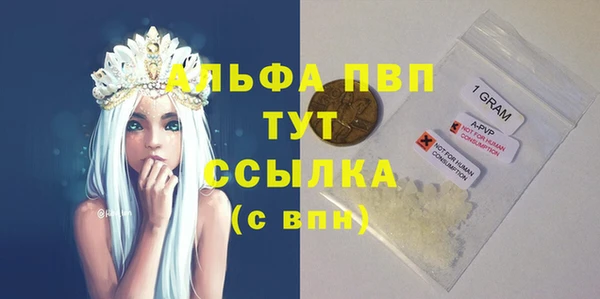 дмт Абаза