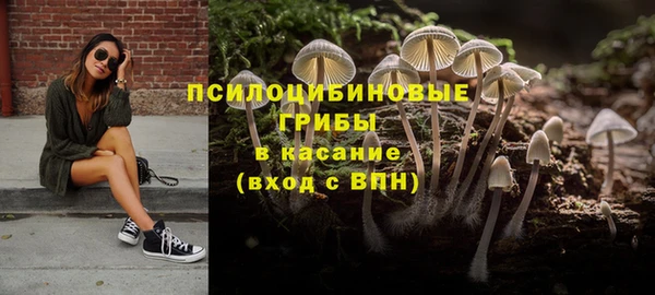 дмт Абаза