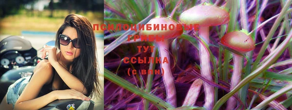 гашик Сафоново