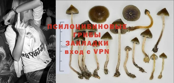 дмт Абаза