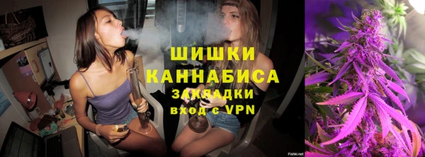 дмт Абаза