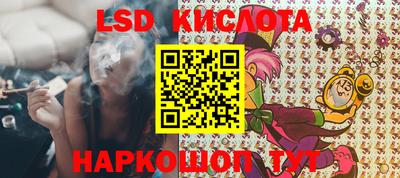 индика Дубна