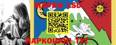 индика Дубна