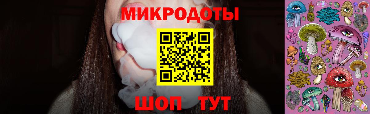 Галлюциногенные грибы Psilocybe Ухта